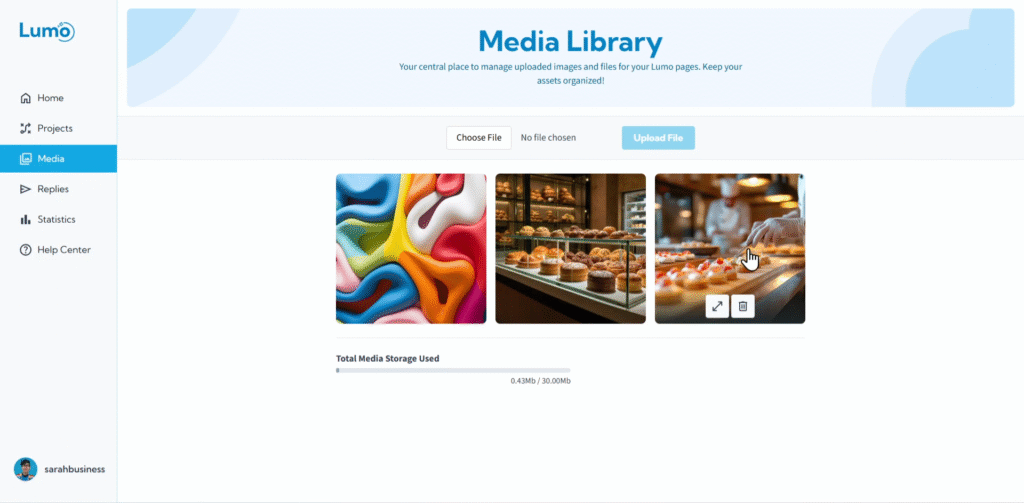 Illustration for LumoPages Help: Managing Your Media Library and Storage